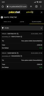 Screenshot_2023-04-24-00-03-12-050_com.android.chrome.jpg