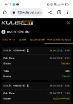 Screenshot_2023-04-25-14-18-26-18.jpg