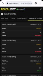 Screenshot_2023-04-30-04-45-39-152-edit_com.android.chrome.jpg