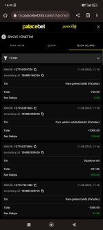 Screenshot_2023-06-12-16-43-17-043_com.android.chrome.jpg