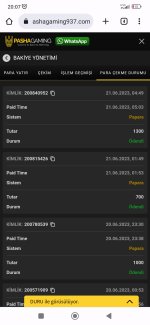 Screenshot_2023-06-23-20-07-21-950_com.android.chrome.jpg