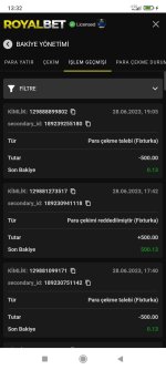 Screenshot_2023-06-29-13-32-04-233_com.android.chrome.jpg