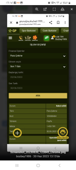 Screenshot_20230630_131450_Chrome.png
