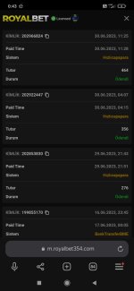 Screenshot_2023-07-01-00-43-58-668_com.yandex.browser.jpg