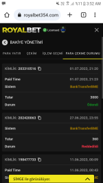 Screenshot_20230703-035205.png