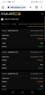 Screenshot_20230706-224247.jpg
