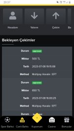 Screenshot_20230708-203724_Chrome.jpg