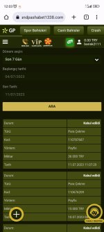 Screenshot_2023-07-11-12-03-15-101_com.android.chrome.jpg