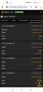 Screenshot_20230718_231940_com.android.chrome.jpg