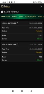 Screenshot_2023-07-20-22-22-55-323_com.android.chrome.jpg
