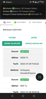 Screenshot_20230729-132332.png