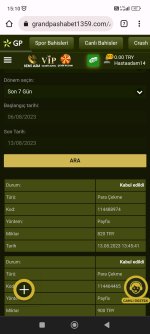 Screenshot_2023-08-13-15-10-44-419_com.android.chrome.jpg