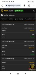 Screenshot_2023-09-06-11-38-38-638_com.android.chrome.jpg