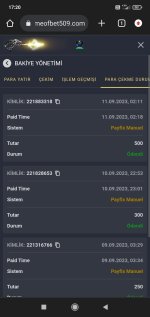 Screenshot_2023-09-11-17-20-38-211_com.android.chrome.jpg