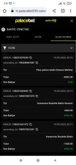 Screenshot_2023-09-19-03-01-05-673_com.android.chrome.jpg