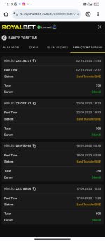 Screenshot_2023-10-03-15-19-52-583_com.android.chrome.jpg
