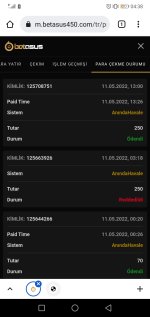 Screenshot_20220512-043857.jpg