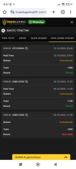 Screenshot_2023-10-13-08-47-01-093_com.android.chrome.jpg