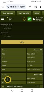 Screenshot_20231019-035631.jpg