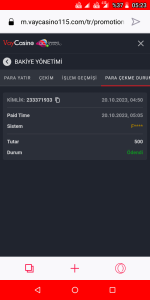 Screenshot_20231020-052313.png