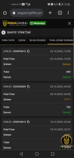 Screenshot_20231022_152819_com.android.chrome.jpg