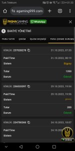 Screenshot_20231101-013319.jpg