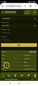 Screenshot_2023-11-04-00-33-25-607_com.android.chrome.jpg