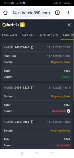 Screenshot_20231111_234912_com.android.chrome.jpg