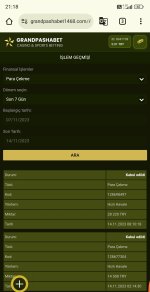 Screenshot_2023-11-14-21-18-36-164-edit_com.android.chrome.jpg