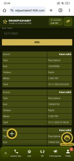 Screenshot_2023-11-14-22-44-21-410_com.android.chrome.jpg
