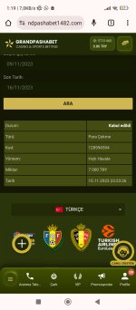 Screenshot_2023-11-16-01-19-59-478_com.android.chrome.jpg