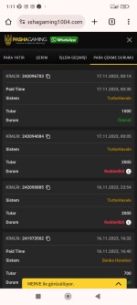 Screenshot_2023-11-17-01-11-00-756_com.android.chrome.jpg