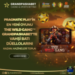 1700204832019.png