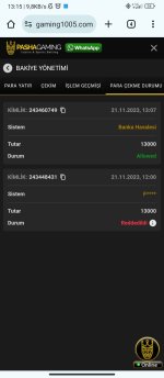Screenshot_2023-11-21-13-15-03-405_com.android.chrome.jpg