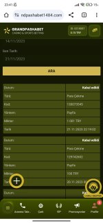 Screenshot_2023-11-21-23-41-32-093_com.chrome.beta.jpg