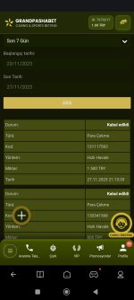 Screenshot_2023-11-27-21-16-31-702_com.mi.globalbrowser.jpg