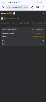 Screenshot_2023-11-27-23-53-12-933_com.android.chrome.jpg