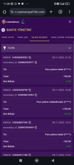 Screenshot_2023-11-29-11-20-44-181_com.android.chrome.jpg