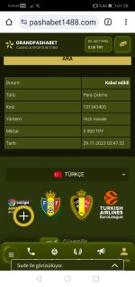 Screenshot_20231130_012836_com.android.chrome.jpg