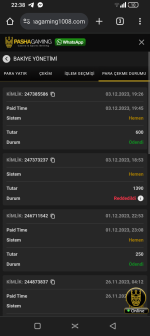 Screenshot_20231203-223809.png