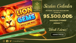 1653821764786.png