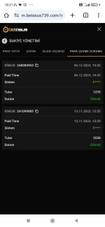 Screenshot_2023-12-06-18-31-16-313_com.android.chrome.jpg