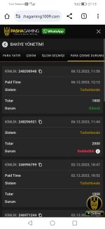 Screenshot_20231206_211331_com.android.chrome.jpg