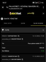 Screenshot_2023-12-12-18-57-34-949_com.android.chrome-edit.jpg