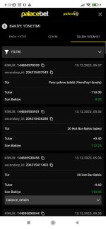 Screenshot_2023-12-13-08-12-05-378_com.android.chrome.jpg