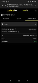 Screenshot_2023-12-15-02-23-28-724_com.android.chrome.jpg
