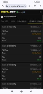 Screenshot_2023-12-15-03-52-38-160_com.android.chrome.jpg