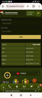 Screenshot_2023-12-25-20-45-47-593_com.android.chrome.jpg