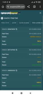 Screenshot_2023-12-30-11-29-08-388_com.android.chrome.jpg