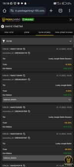 Screenshot_2023-12-31-19-18-53-973_com.android.chrome.jpg